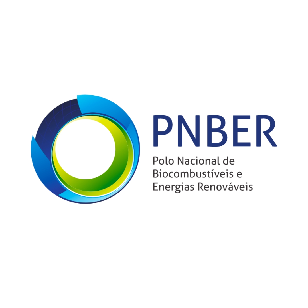LOGO PNBER
